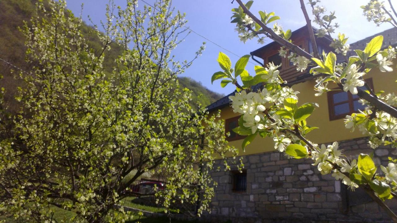 Guest House - Stari Javor B&B Prozor Buitenkant foto